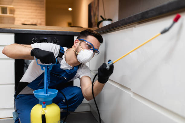 Best Pest Prevention Services  in Port Wentworth, GA