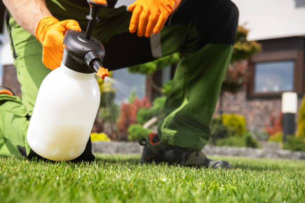 Best Wasp Removal Services  in Port Wentworth, GA