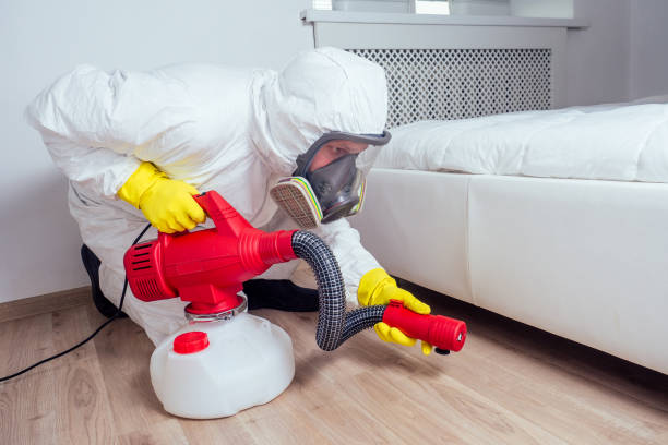 Best Bed Bug Extermination  in Port Wentworth, GA