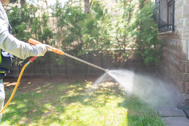 Best Mosquito Control Services  in Port Wentworth, GA
