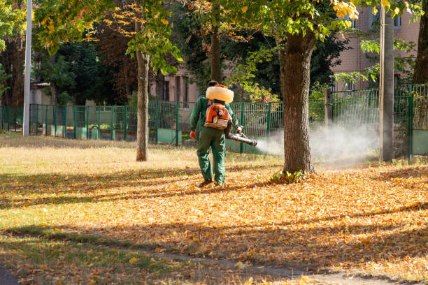 Best Flea Control Services  in Port Wentworth, GA
