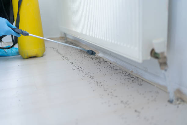 Best Pest Inspection Near Me  in Port Wentworth, GA