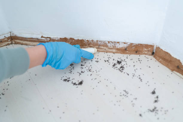 Best Pest Control for Restaurants  in Port Wentworth, GA