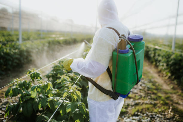 Best Cockroach Control Services  in Port Wentworth, GA